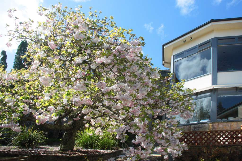 Hotel Nesuto Leura Gardens Zewnętrze zdjęcie