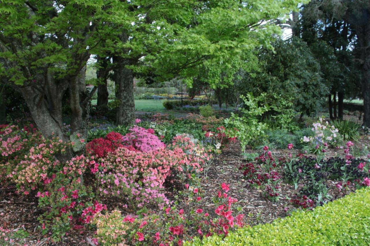 Hotel Nesuto Leura Gardens Zewnętrze zdjęcie
