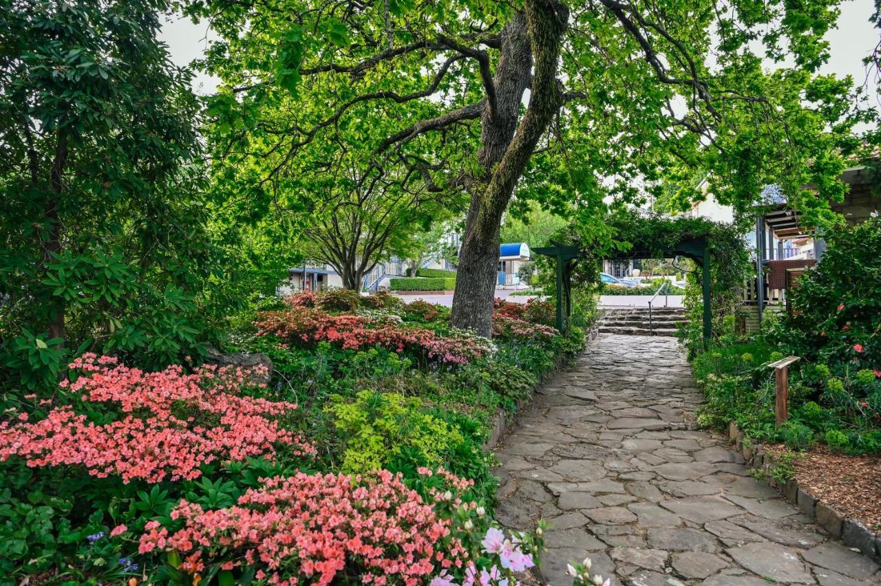 Hotel Nesuto Leura Gardens Zewnętrze zdjęcie